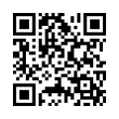 QR Code (код быстрого отклика)