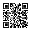 QR Code (код быстрого отклика)