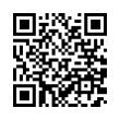 QR Code (код быстрого отклика)