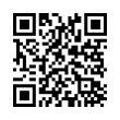 QR Code (код быстрого отклика)