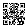 QR Code (код быстрого отклика)