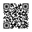 QR Code (код быстрого отклика)