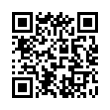 QR Code (код быстрого отклика)