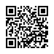 QR Code (код быстрого отклика)