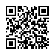 QR Code (код быстрого отклика)