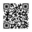 QR Code (код быстрого отклика)