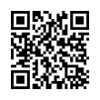 QR Code (код быстрого отклика)