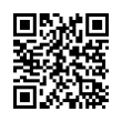 QR Code (код быстрого отклика)