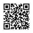 QR Code (код быстрого отклика)