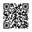 QR Code (код быстрого отклика)