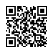 QR Code (код быстрого отклика)