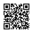 QR Code (код быстрого отклика)