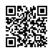 QR Code (код быстрого отклика)