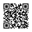 QR Code (код быстрого отклика)