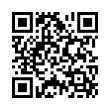 QR Code (код быстрого отклика)