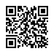 QR Code (код быстрого отклика)