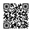 QR Code (код быстрого отклика)