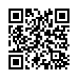 QR Code (код быстрого отклика)