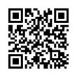 QR Code (код быстрого отклика)