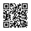 QR Code (код быстрого отклика)