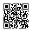 QR Code (код быстрого отклика)