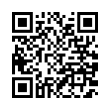 QR Code (код быстрого отклика)