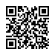 QR Code (код быстрого отклика)