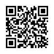 QR Code (код быстрого отклика)