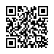 QR Code (код быстрого отклика)