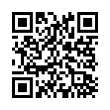 QR Code (код быстрого отклика)