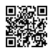 QR Code (код быстрого отклика)