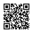 QR Code (код быстрого отклика)