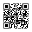 QR Code (код быстрого отклика)