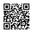 QR Code (код быстрого отклика)