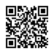 QR Code (код быстрого отклика)