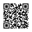 QR Code (код быстрого отклика)