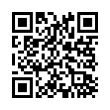 QR Code (код быстрого отклика)