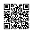 QR Code (код быстрого отклика)