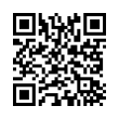 QR Code (код быстрого отклика)
