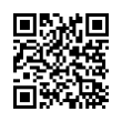 QR Code (код быстрого отклика)