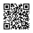 QR Code (код быстрого отклика)