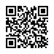 QR Code (код быстрого отклика)