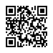 QR Code (код быстрого отклика)