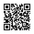 QR Code (код быстрого отклика)