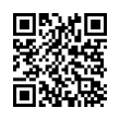 QR Code (код быстрого отклика)