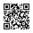 QR Code (код быстрого отклика)