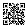 QR Code (код быстрого отклика)