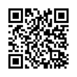 QR Code (код быстрого отклика)