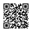 QR Code (код быстрого отклика)