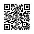 QR Code (код быстрого отклика)